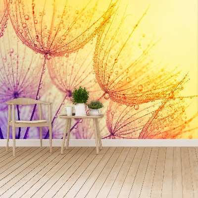 Papel de parede Sol dente-de-leão