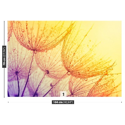 Papel de parede Sol dente-de-leão