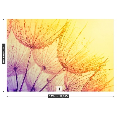 Papel de parede Sol dente-de-leão