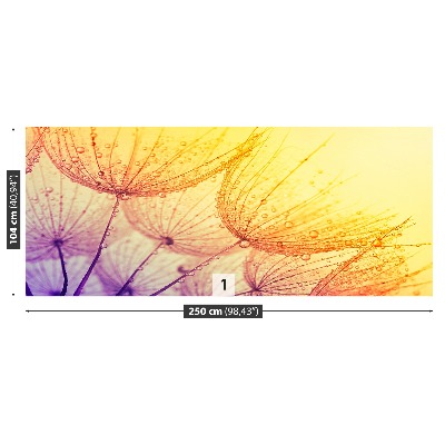 Papel de parede Sol dente-de-leão