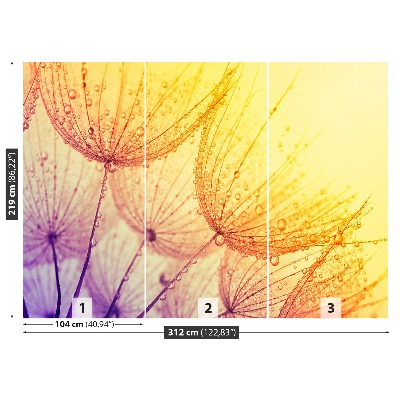 Papel de parede Sol dente-de-leão