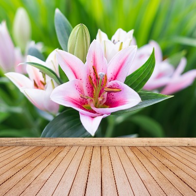 Mural de parede Lírio Verde