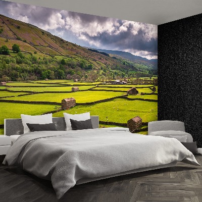 Mural de parede Campo de Yorkshire