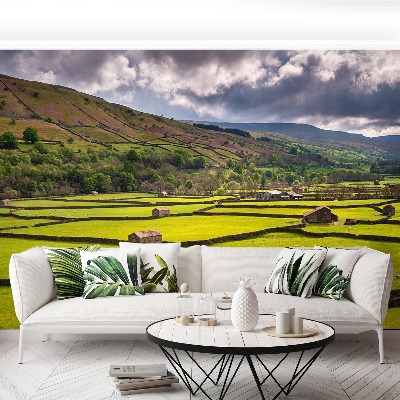 Mural de parede Campo de Yorkshire