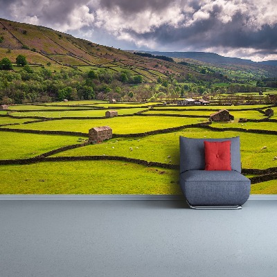 Mural de parede Campo de Yorkshire