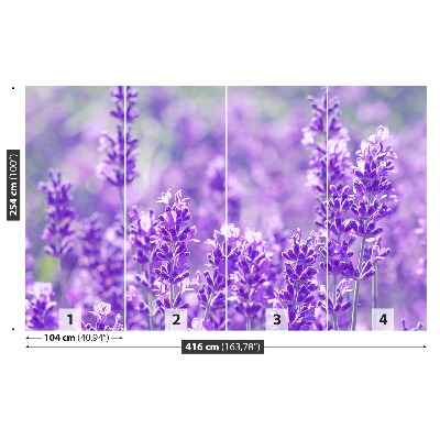 Papel de parede Lavanda Roxa