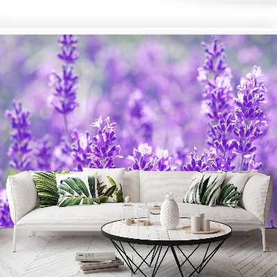 Papel de parede Lavanda Roxa