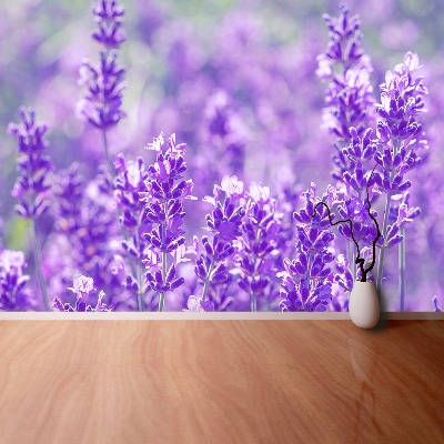 Papel de parede Lavanda Roxa