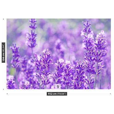 Papel de parede Lavanda Roxa