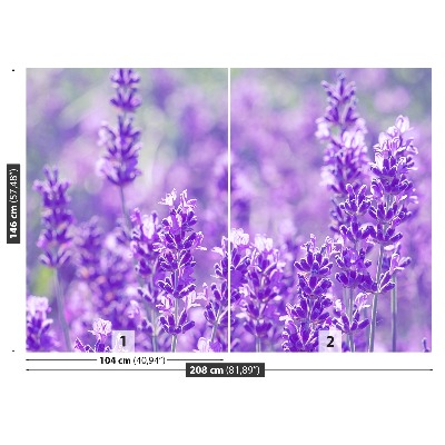 Papel de parede Lavanda Roxa