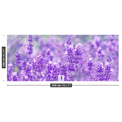 Papel de parede Lavanda Roxa