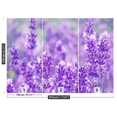 Papel de parede Lavanda Roxa