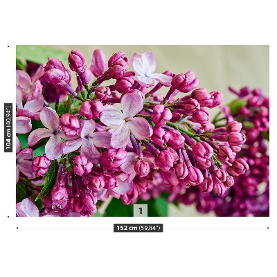 Mural de parede Lírios cor-de-rosa