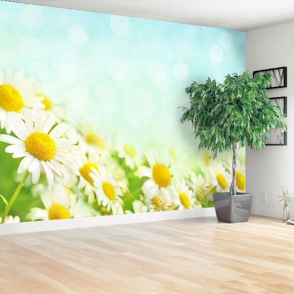 Mural de parede Camomila Azul