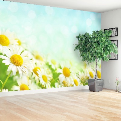 Mural de parede Camomila Azul