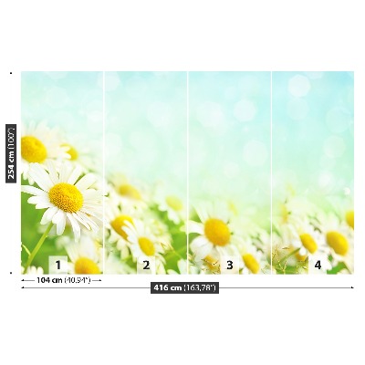 Mural de parede Camomila Azul