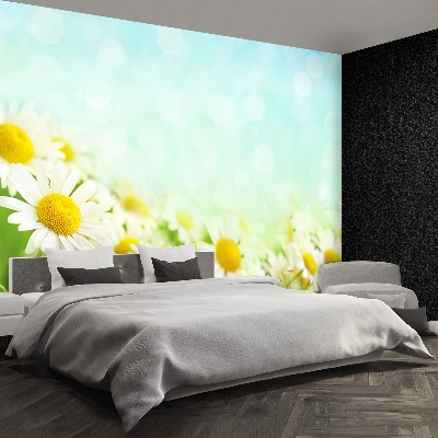 Mural de parede Camomila Azul