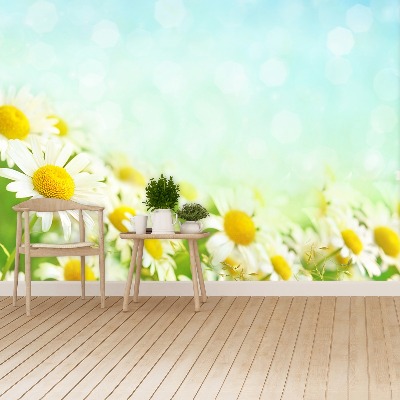 Mural de parede Camomila Azul