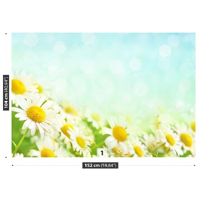 Mural de parede Camomila Azul