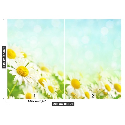 Mural de parede Camomila Azul