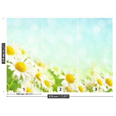 Mural de parede Camomila Azul