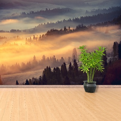 Mural de parede Floresta montanhosa