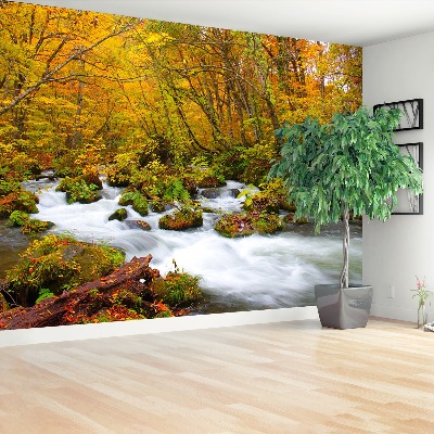 Papel de parede Rio no Japão