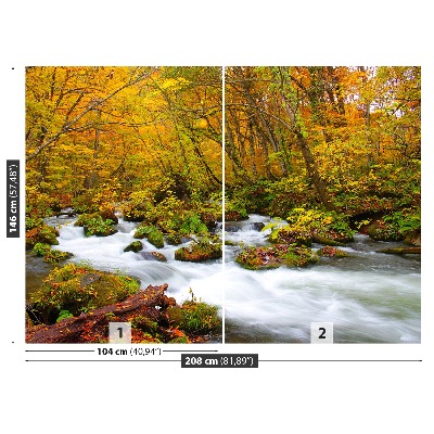 Papel de parede Rio no Japão