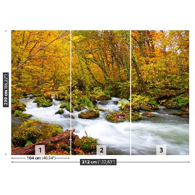 Papel de parede Rio no Japão