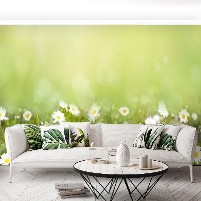 Papel de parede Margaridas