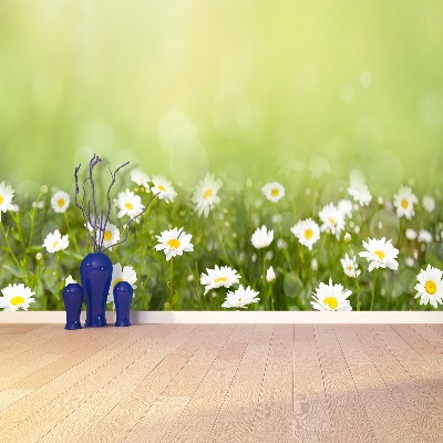 Papel de parede Margaridas