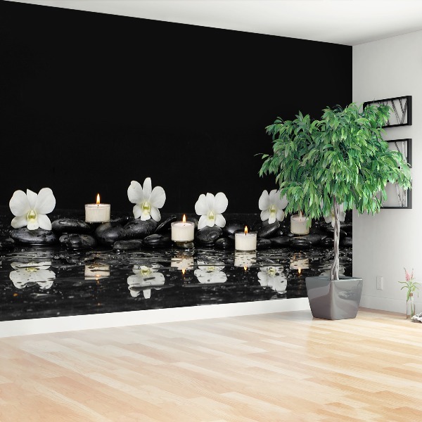 Papel de parede Velas de orquídea