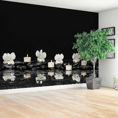 Papel de parede Velas de orquídea