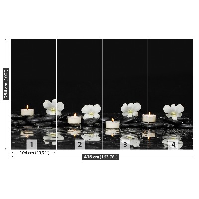 Papel de parede Velas de orquídea