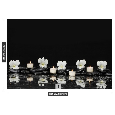 Papel de parede Velas de orquídea