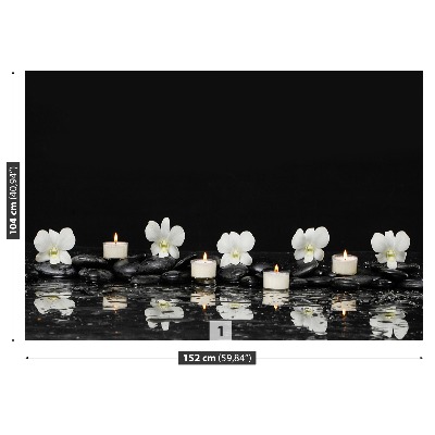 Papel de parede Velas de orquídea