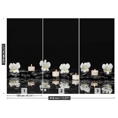 Papel de parede Velas de orquídea