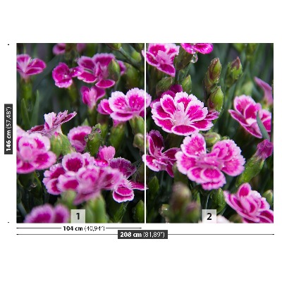 Mural de parede flores rosas