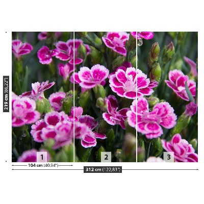 Mural de parede flores rosas