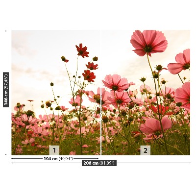 Papel de parede Flores cosmos