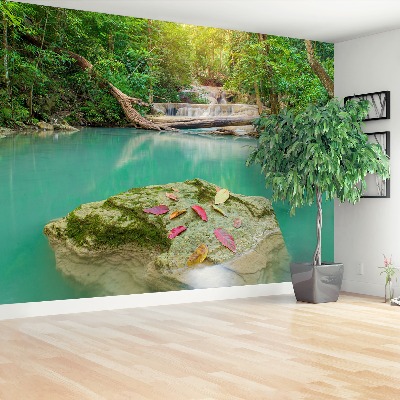 Mural de parede Floresta profunda