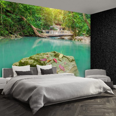 Mural de parede Floresta profunda