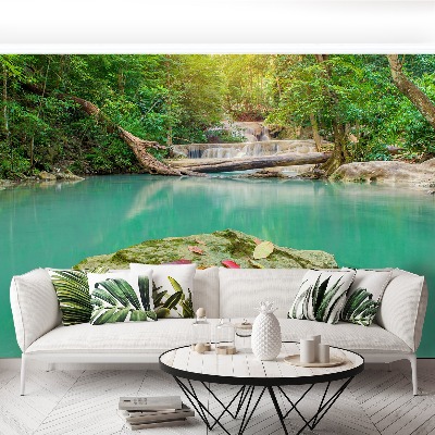 Mural de parede Floresta profunda