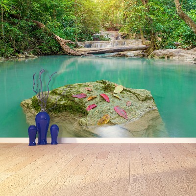 Mural de parede Floresta profunda