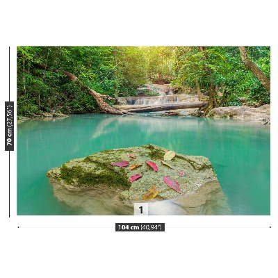 Mural de parede Floresta profunda