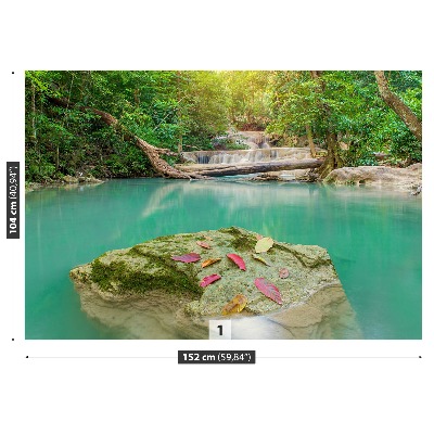 Mural de parede Floresta profunda