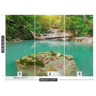 Mural de parede Floresta profunda