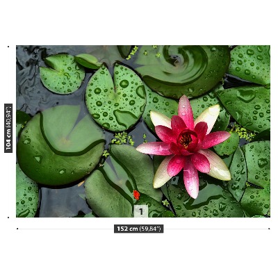 Mural de parede Lagoa de Lótus