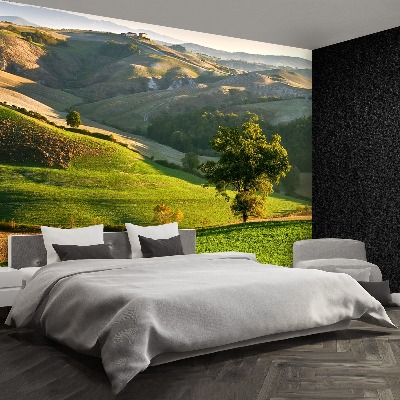 Papel de parede Toscana