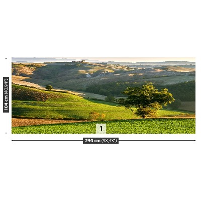 Papel de parede Toscana